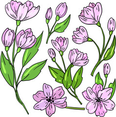 Vector illustration with pink spring or summer flowers on white background. Good for printing. Wallpaper and fabric design. Postcard and logo elements. Cute style.