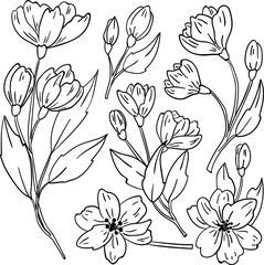 Vector contour illustration with flowers and leaf on white background. Coloring book idea. Good for printing. Doodle style for postcard and logo design.