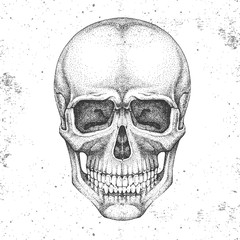 Hand drawing hipster skull illustration on grunge background. Hipster fashion style
