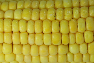 closeup of boiled corn