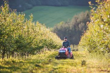 A mature farmer driving mini tractor outdoors in orchard. © Halfpoint