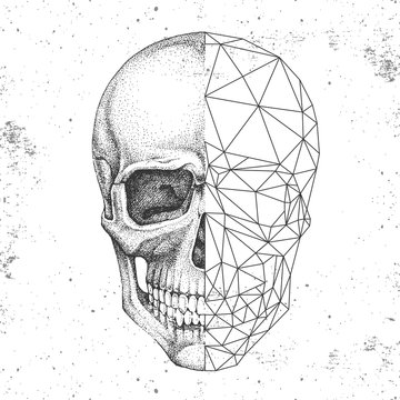 Hipster realistic and polygonal skull on grunge background