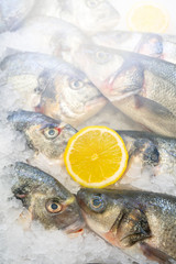 Frozen fish and yellow lemon on ice.