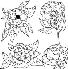 Vector contour illustration with rose flowers on white background. Good for printing. Coloring book idea. Hand drawn isolated illustrations.