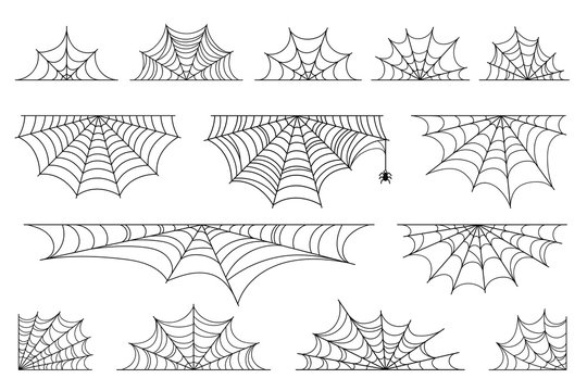 Set of spider web for Halloween. Halloween cobweb, frames and borders, scary elements for decoration. Hand drawn spider web or cobweb with hanging spider