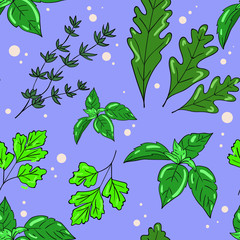 Seamless vector pattern with herbs, basil, parsley, thyme and arugula on blue background. Good for printing. Wallpaper and fabric design. Wrapping paper pattern.