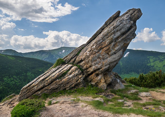 Summer Carpathian mountain landscape.
