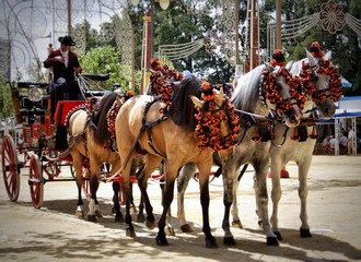 Andalusian horses and a carriage in Feria del Caballo, Jerez de la Frontera (Cadiz, Spain)