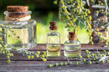 Bottles of essential oil with blooming wormwood plant