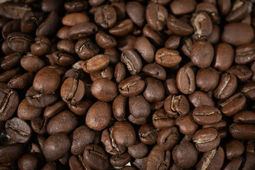 coffee beans on wooden background