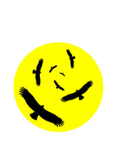 Geier kreisen vor der Sonne in der Wüste Vektor Grafik