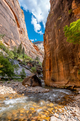 Interior of the Zion National Park canyon. United States, vertical photo