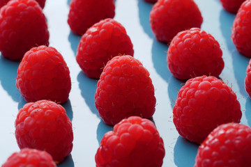Close up of red raspsberry in a blue plate.