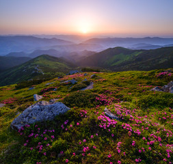 Early morning summer misty mountain top. Carpathian, Ukraine.