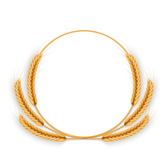 Cereal wheat wreath, isolated on white. Harvest frame template. Agriculture products object. EPS 10