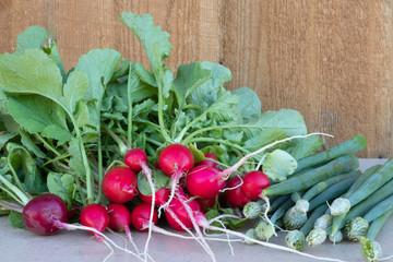  radish and chives