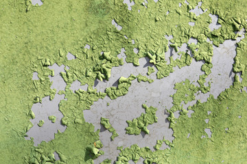 Details of old green metal wall
