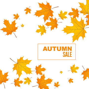 Abstract autumn background with yellow and orange leaves of maple. Vector sale banner with withered foliage.