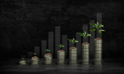 Growth business concept. Trees plant on coins stack , Csr in success Business, Graph up for web or ...