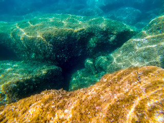 Rocks and seaweeds in Alghero blue sea
