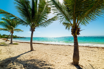 Raisins Clairs beach in Guadeloupe