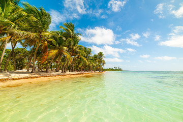 Bois Jolan beach in Guadeloupe
