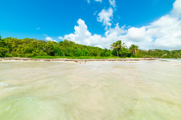 Pointe de la Saline beach in Guadeloupe