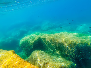Fish and rocks in Alghero colorful sea floor