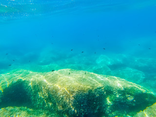 Fototapeta premium Underwater view of Alghero turquoise sea