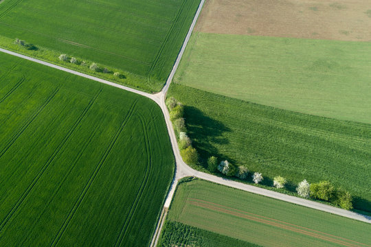 Aerial view of treelined road with intersection through agricultural fields, Franconia, Bavaria, Germany