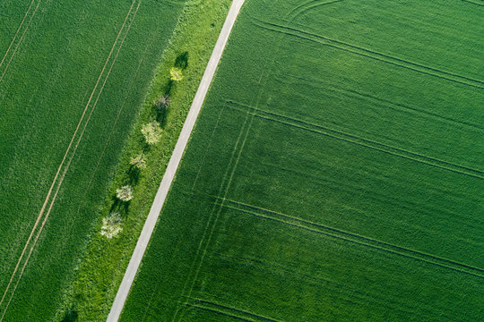 Aerial view of treelined road through agricultural fields Franconia, Bavaria, Germany