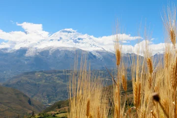 Stickers pour porte Alpamayo Nevado Andino au Pérou avec un champ de blé