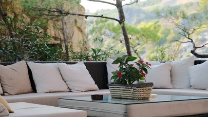 Recreation area in the patio of the house on the beach. On a low table are fresh flowers. The patio is surrounded by pine trees, in the background the mountains are seen