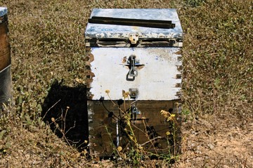 Hives with bees on a field