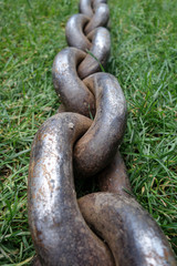 Old Steel Log Chain on green grass