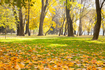 Beautiful Nature Autumn landscape city park