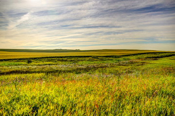 Farmland landscapes in the Alberta countryside