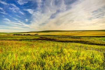 Farmland landscapes in the Alberta countryside
