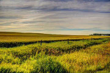 Farmland landscapes in the Alberta countryside