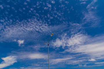 Lighting poles illuminating the street