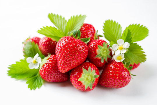 Frische reife rote Erdbeeren angeboten als closeup vor weißen Hintergrund mit Textfreiraum – freigestellt