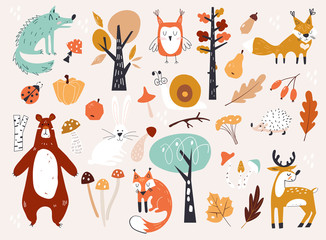 Leuke herfst bosdieren en Floral Forest Design Elements. Set van schattige herfst stripfiguren, planten en voedsel. Herfst seizoen.