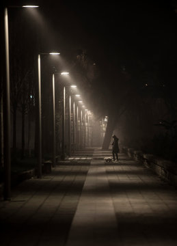 A Lonely Woman Pulling Her Dog Out At Night With Fog And Cold