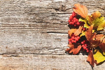 Naklejka na ściany i meble Red viburnum on a shabby wooden background top view. Autumn background with place for text.