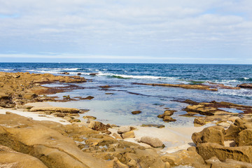 la jolla tidepools