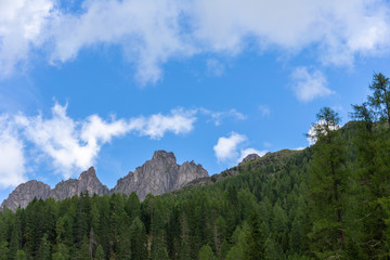 Cime rocciose dietro agli alberi