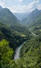 Fototapeta na wymiar Tara Canyon, summer view (Montenegro).