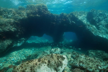 Underwater large rock with holes in the Mediterranean sea, Spain, Costa Brava, Catalonia, Calella de Palafrugell