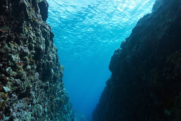 Water surface underwater seen from a crevice on the ocean floor, outer reef of Huahine island,...