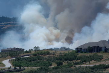 Obraz na płótnie Canvas Forest Fire 1